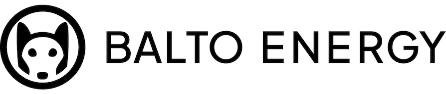 Balto Logo